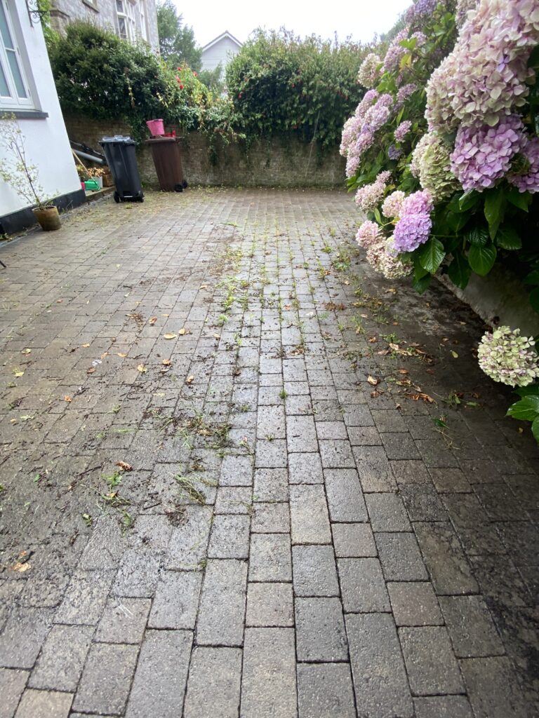 image00009