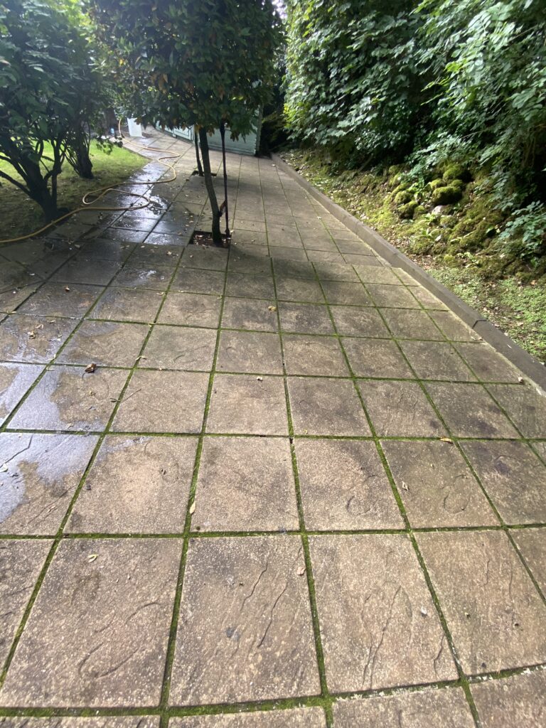 image00011