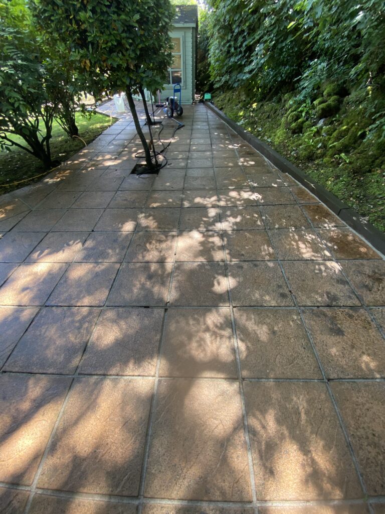 image00012